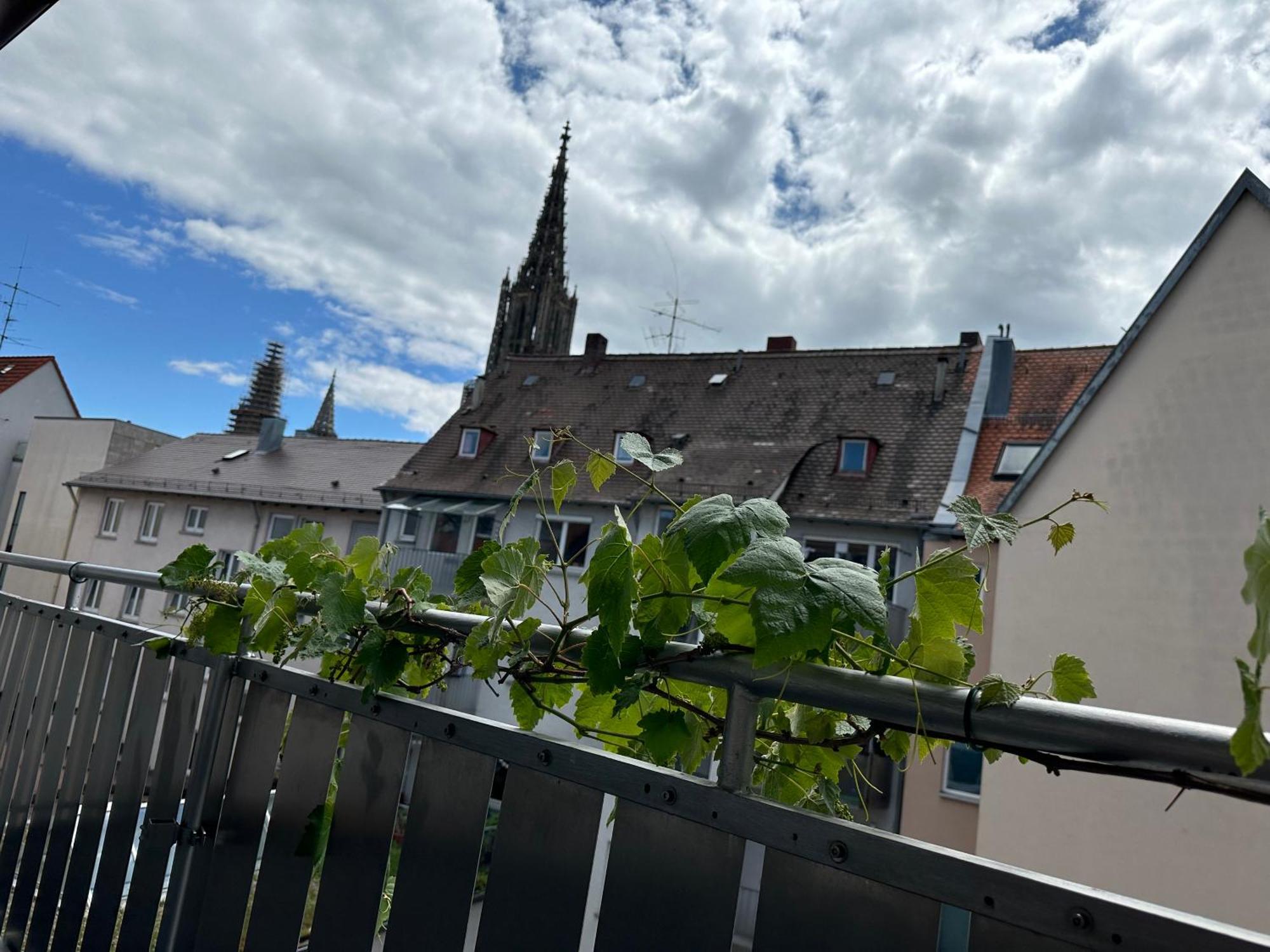 Apartment11 Ulm Zewnętrze zdjęcie